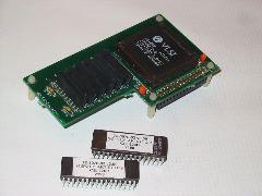 IMG_2465.JPG